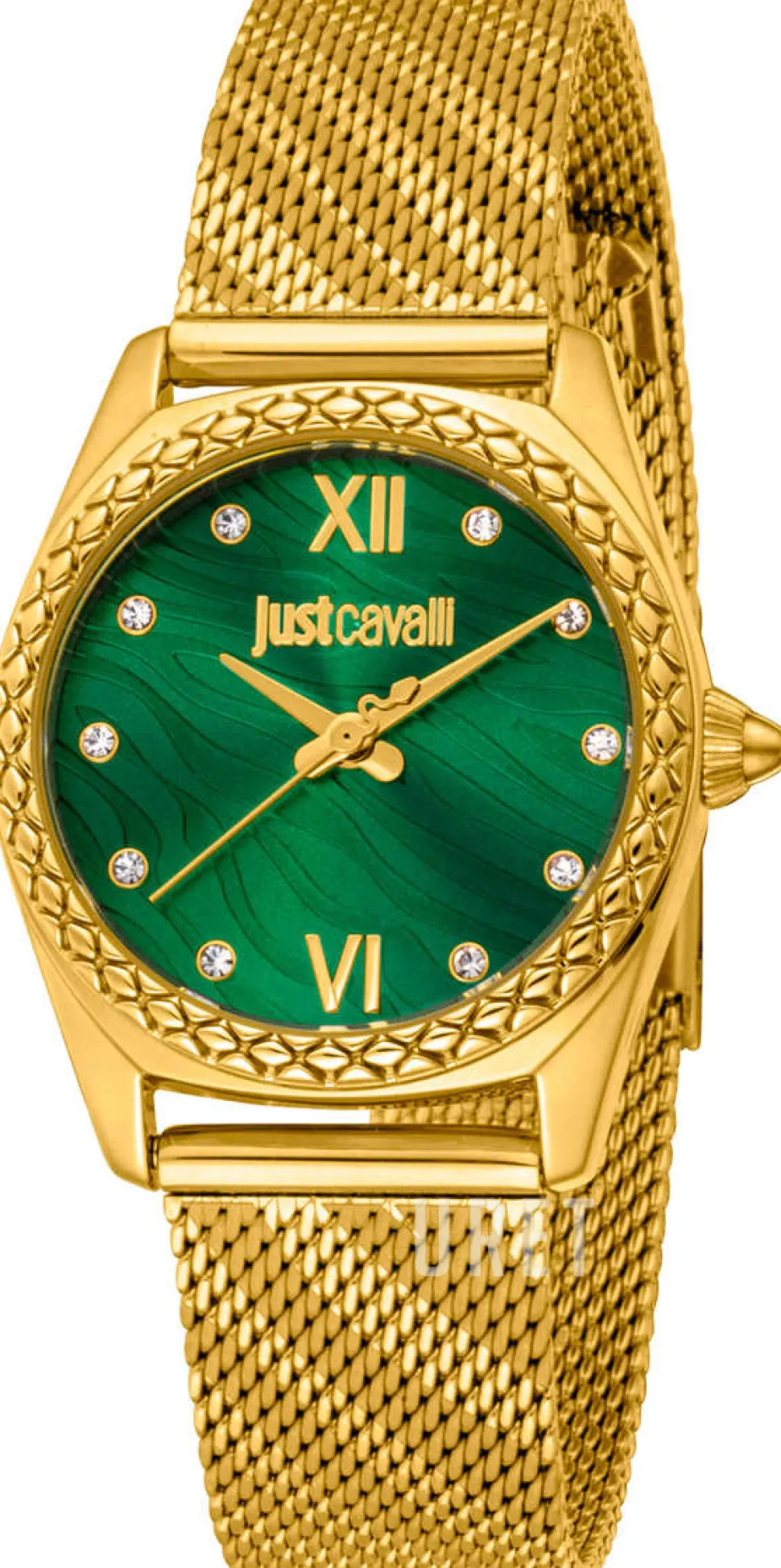 Animalier Fiorenza Snake Grön/Gulguldtonat stål Ø30 mm