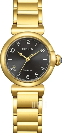 Eco Drive Svart/Guldtonat stål Ø26 mm