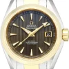 Seamaster Aqua Terra Automatic Grå/18 karat gult guld Ø30 mm