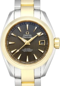 Seamaster Aqua Terra Automatic Grå/18 karat gult guld Ø30 mm
