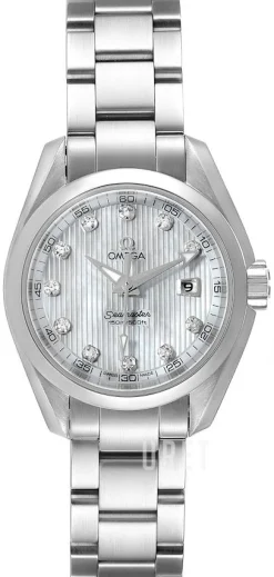 Seamaster Aqua Terra Jewellery Silverfärgad/Stål Ø30 mm