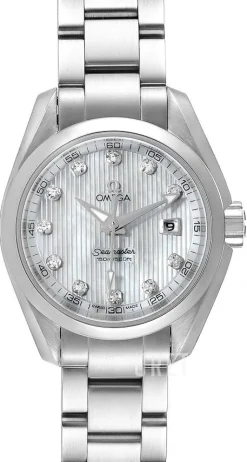 Seamaster Aqua Terra Jewellery Silverfärgad/Stål Ø30 mm