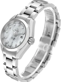 Seamaster Aqua Terra Jewellery Silverfärgad/Stål Ø30 mm