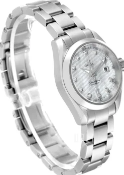 Seamaster Aqua Terra Jewellery Silverfärgad/Stål Ø30 mm