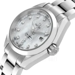 Seamaster Aqua Terra Jewellery Silverfärgad/Stål Ø30 mm