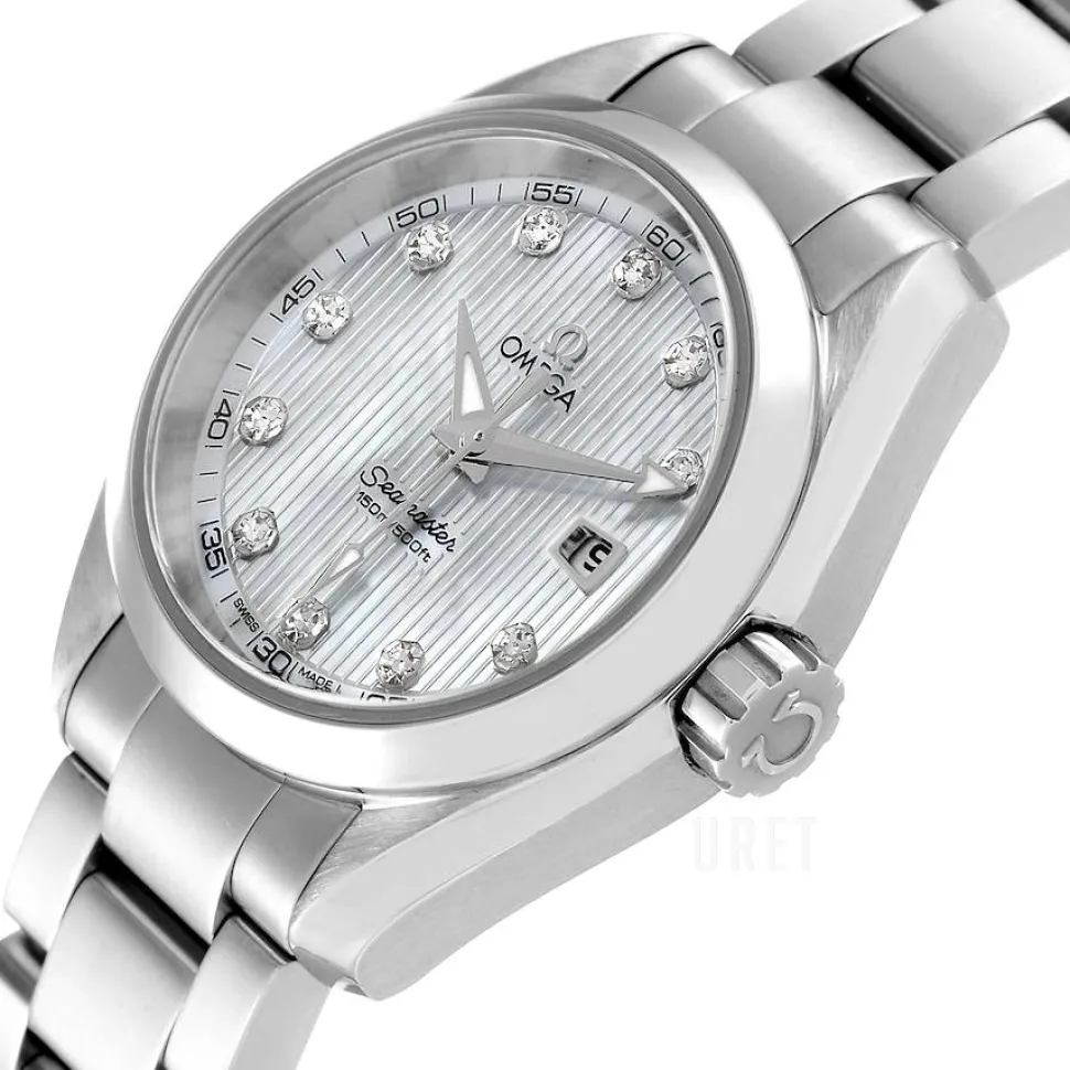 Seamaster Aqua Terra Jewellery Silverfärgad/Stål Ø30 mm