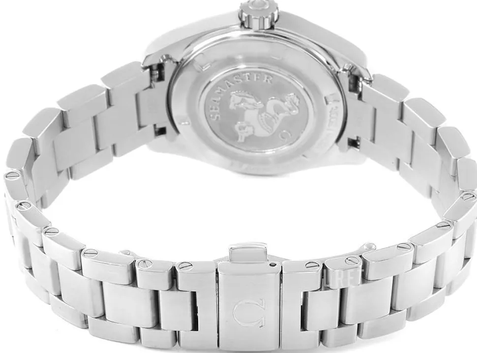 Seamaster Aqua Terra Jewellery Silverfärgad/Stål Ø30 mm