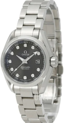 Seamaster Aqua Terra Jewellery Grå/Stål Ø30 mm