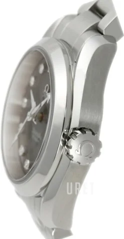 Seamaster Aqua Terra Jewellery Grå/Stål Ø30 mm