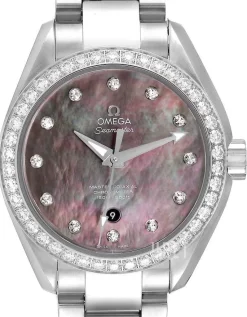 Seamaster Aqua Terra 150m Master Co-Axial 34mm Grå/Stål Ø34 mm