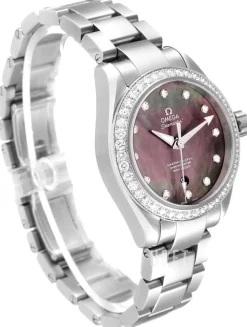 Seamaster Aqua Terra 150m Master Co-Axial 34mm Grå/Stål Ø34 mm