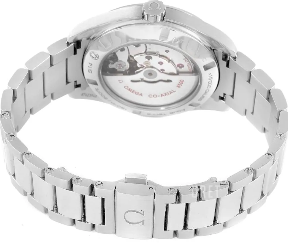 Seamaster Aqua Terra 150m Master Co-Axial 41.5mm Silverfärgad/Stål Ø41.5 mm