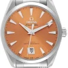 Seamaster Aqua Terra 150M Orange/Stål Ø38 mm
