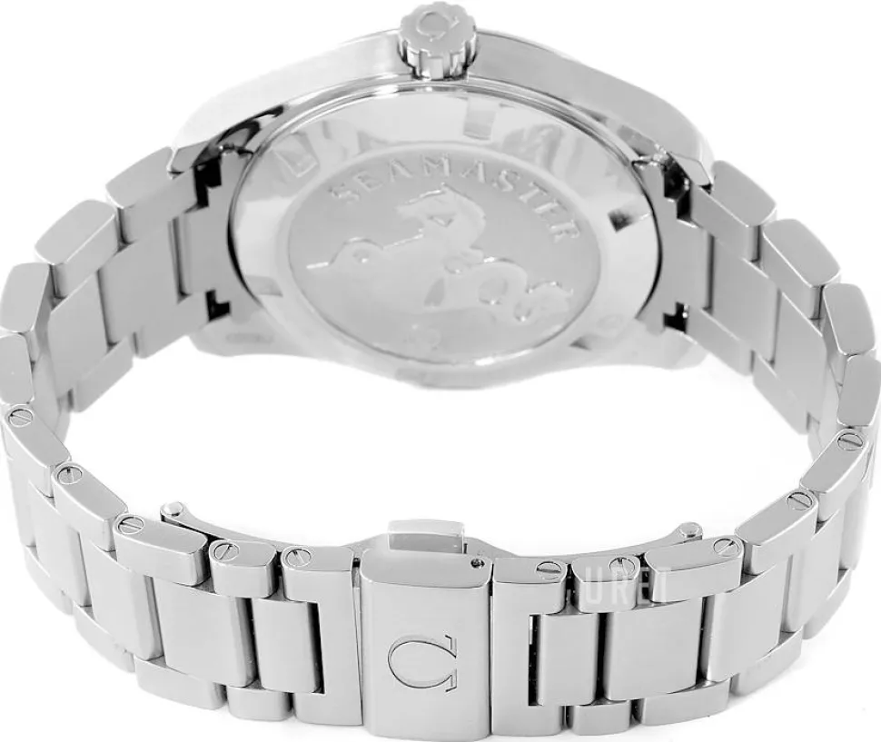 Seamaster Aqua Terra 150m Quartz 38.5mm Silverfärgad/Stål Ø38.5 mm