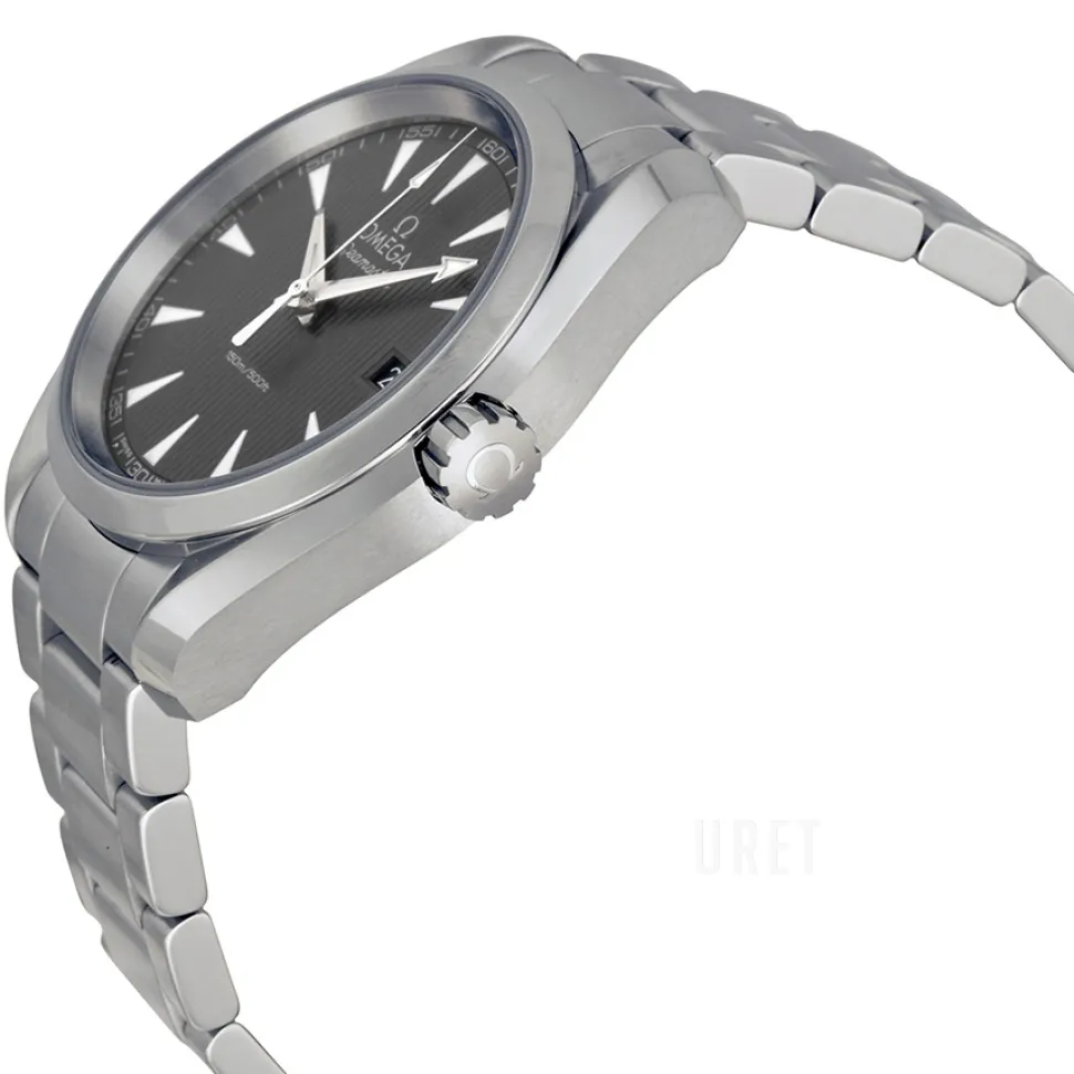 Seamaster Aqua Terra 150m Quartz 30mm Grå/Stål Ø30 mm