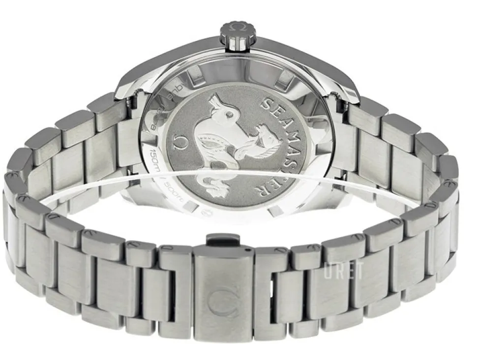 Seamaster Aqua Terra 150m Quartz 30mm Grå/Stål Ø30 mm