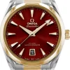 Seamaster Aqua Terra 150M Röd/18 karat gult guld Ø38 mm