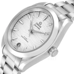 Seamaster Aqua Terra 150M Silverfärgad/Stål Ø34 mm