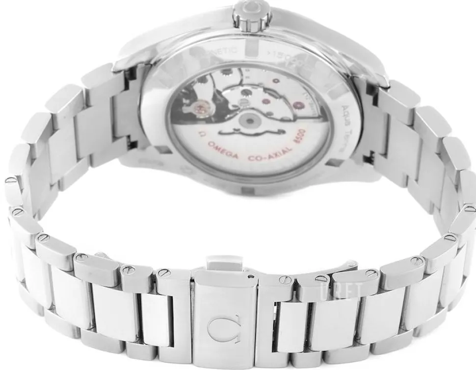 Seamaster Aqua Terra 150M Silverfärgad/Stål Ø41.5 mm