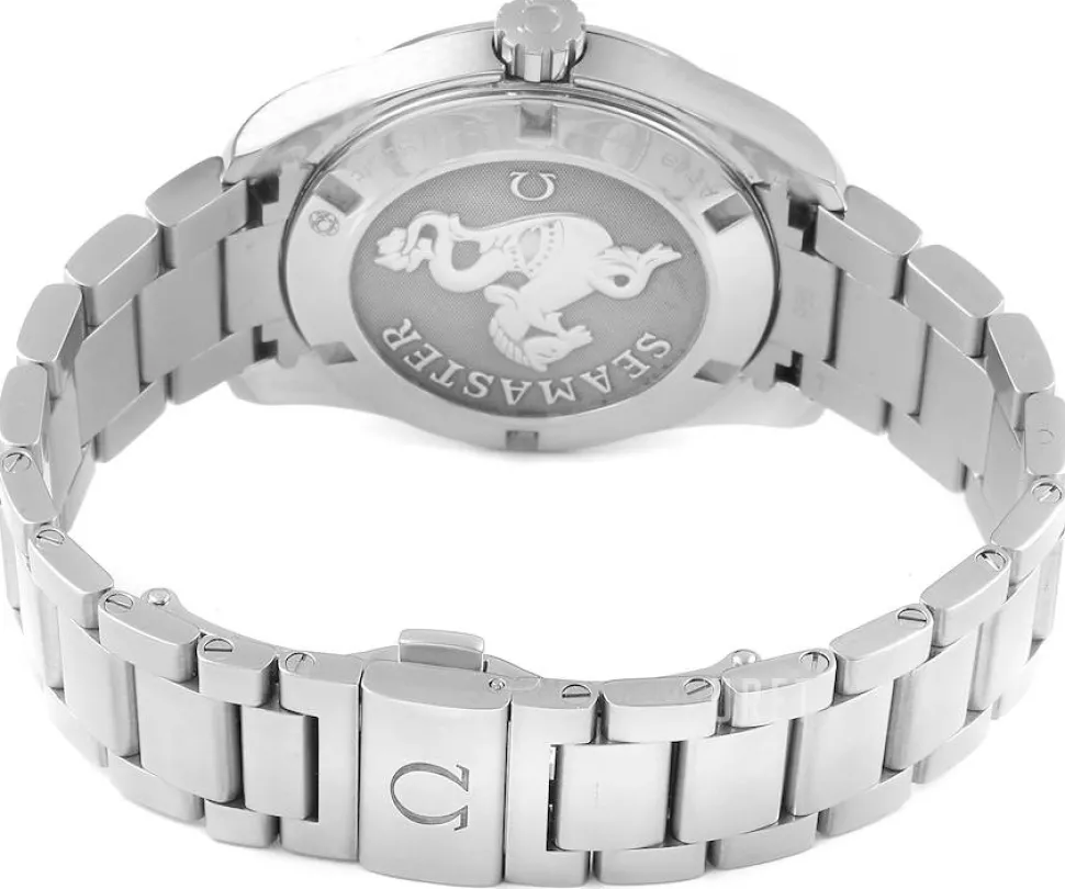 Seamaster Aqua Terra Quartz Silverfärgad/Stål Ø38.5 mm