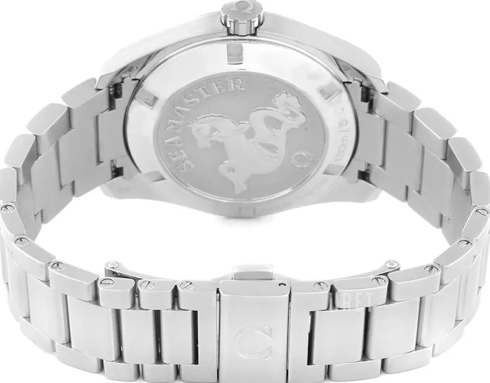 Seamaster Aqua Terra Quartz Grå/Stål Ø38.5 mm