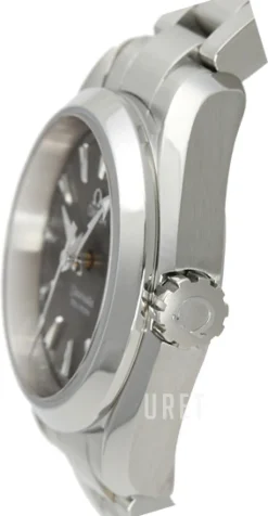 Seamaster Aqua Terra Quartz Grå/Stål Ø30 mm