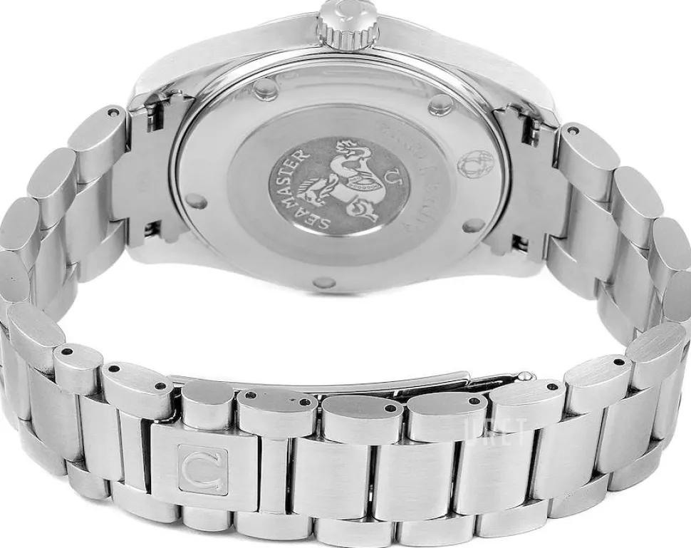 Seamaster Aqua Terra Silverfärgad/Stål Ø36 mm