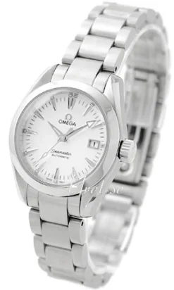 Seamaster Aqua Terra Silverfärgad/Stål Ø29 mm