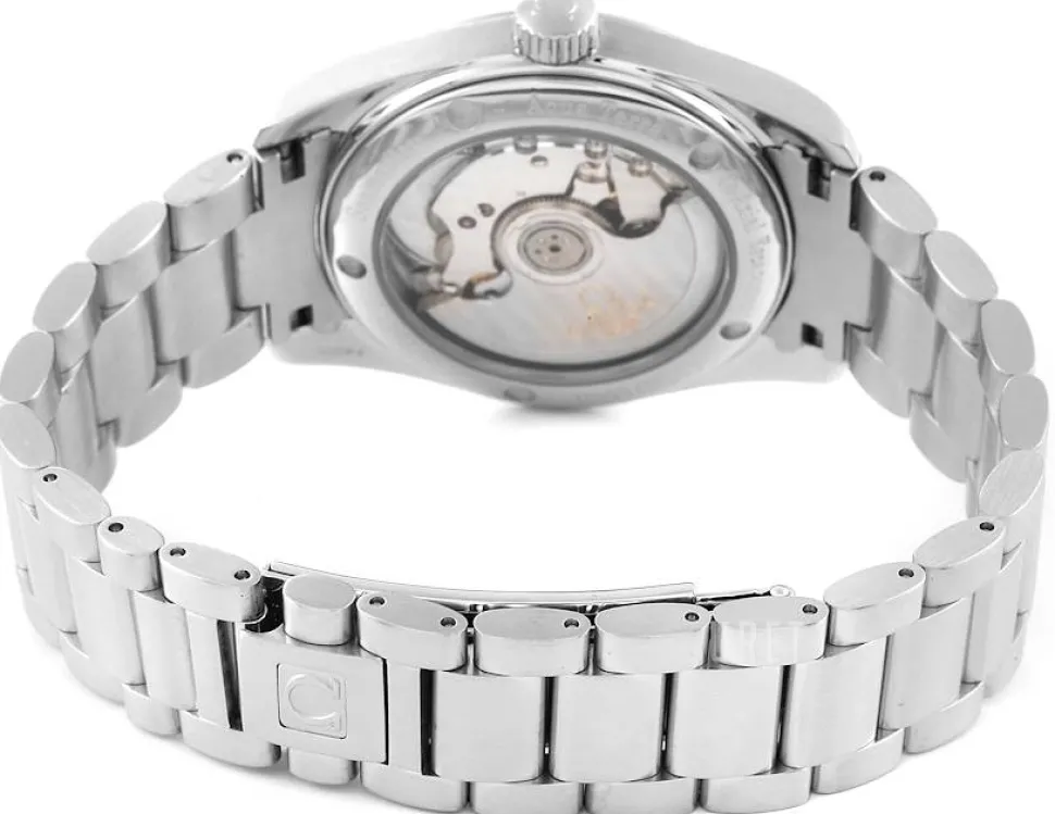 Seamaster Aqua Terra Silverfärgad/Stål Ø36 mm