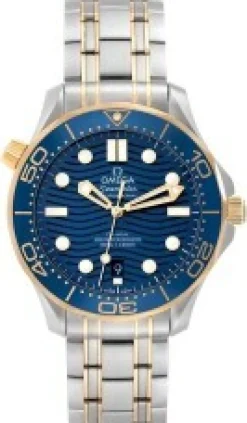 Seamaster Diver 300m
