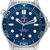 Seamaster Diver 300m Blå/Stål Ø42 mm