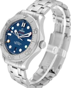 Seamaster Diver 300M Blå/Stål Ø42 mm