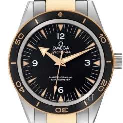 Seamaster Diver 300m Master Co-Axial 41mm Svart/18 karat gult guld Ø41 mm
