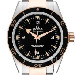 Seamaster Diver 300m Master Co-Axial 41mm Svart/18 karat roséguld Ø41 mm