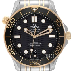 Seamaster Diver 300M Svart/18 karat gult guld Ø42 mm