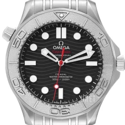 Seamaster Diver 300M Svart/Stål Ø42 mm