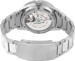 Seamaster 300m Master Co-Axial 41mm Blå/Titan Ø41 mm