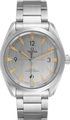 Seamaster Railmaster Grå/Stål Ø40 mm