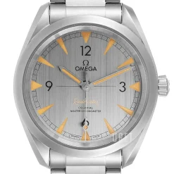 Seamaster Railmaster Grå/Stål Ø40 mm