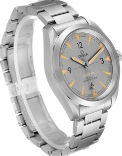 Seamaster Railmaster Grå/Stål Ø40 mm