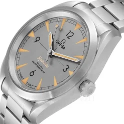 Seamaster Railmaster Grå/Stål Ø40 mm