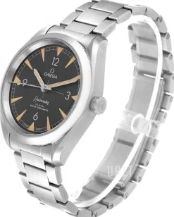 Seamaster Railmaster Svart/Stål Ø40 mm